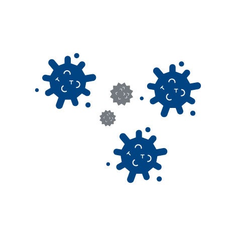 がんが小さくなった様子